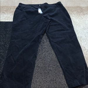 NWT Talbots Pants